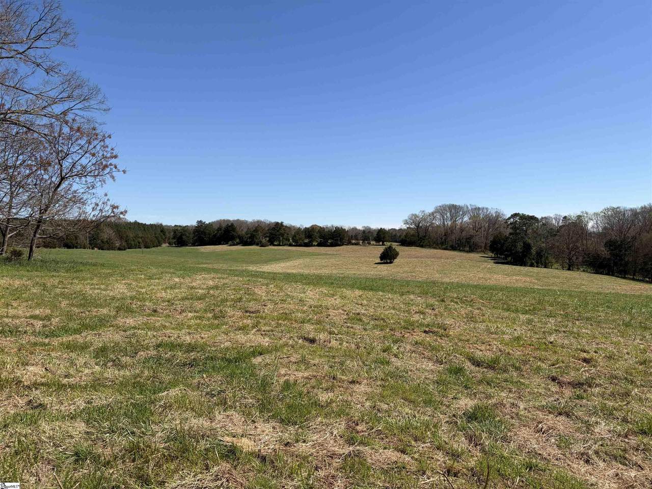 00 Rocky River Ame Church Road - Photo 1