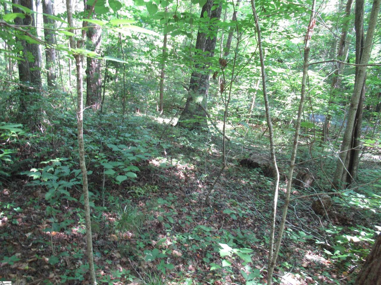 00 Gauley Falls Road - Photo 1