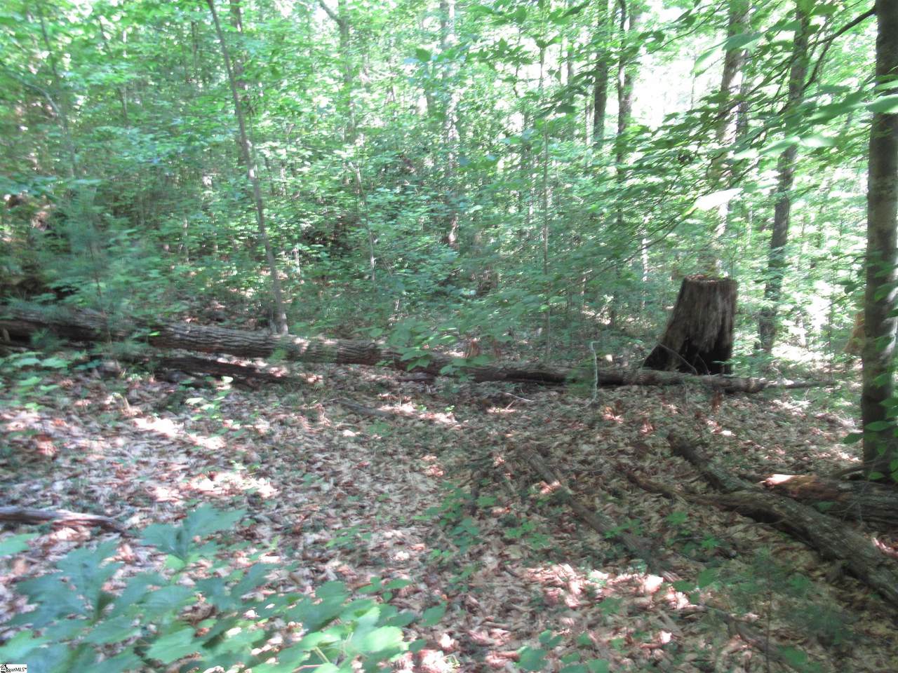 https://bt-photos.global.ssl.fastly.net/ggar/1280_boomver_1_1598483-2.jpg