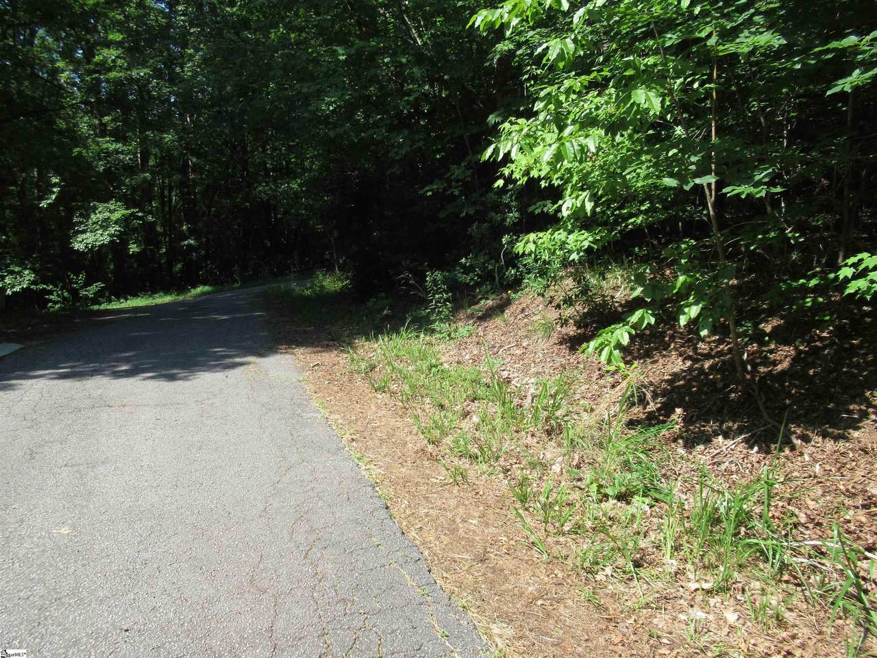 00 Gauley Falls Road - Photo 1