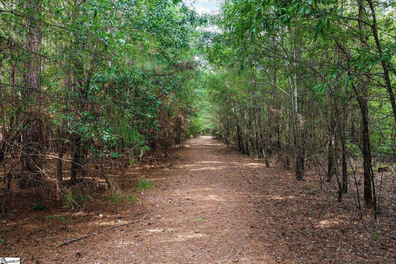 737 Burnt Mill Creek Road - Photo 1
