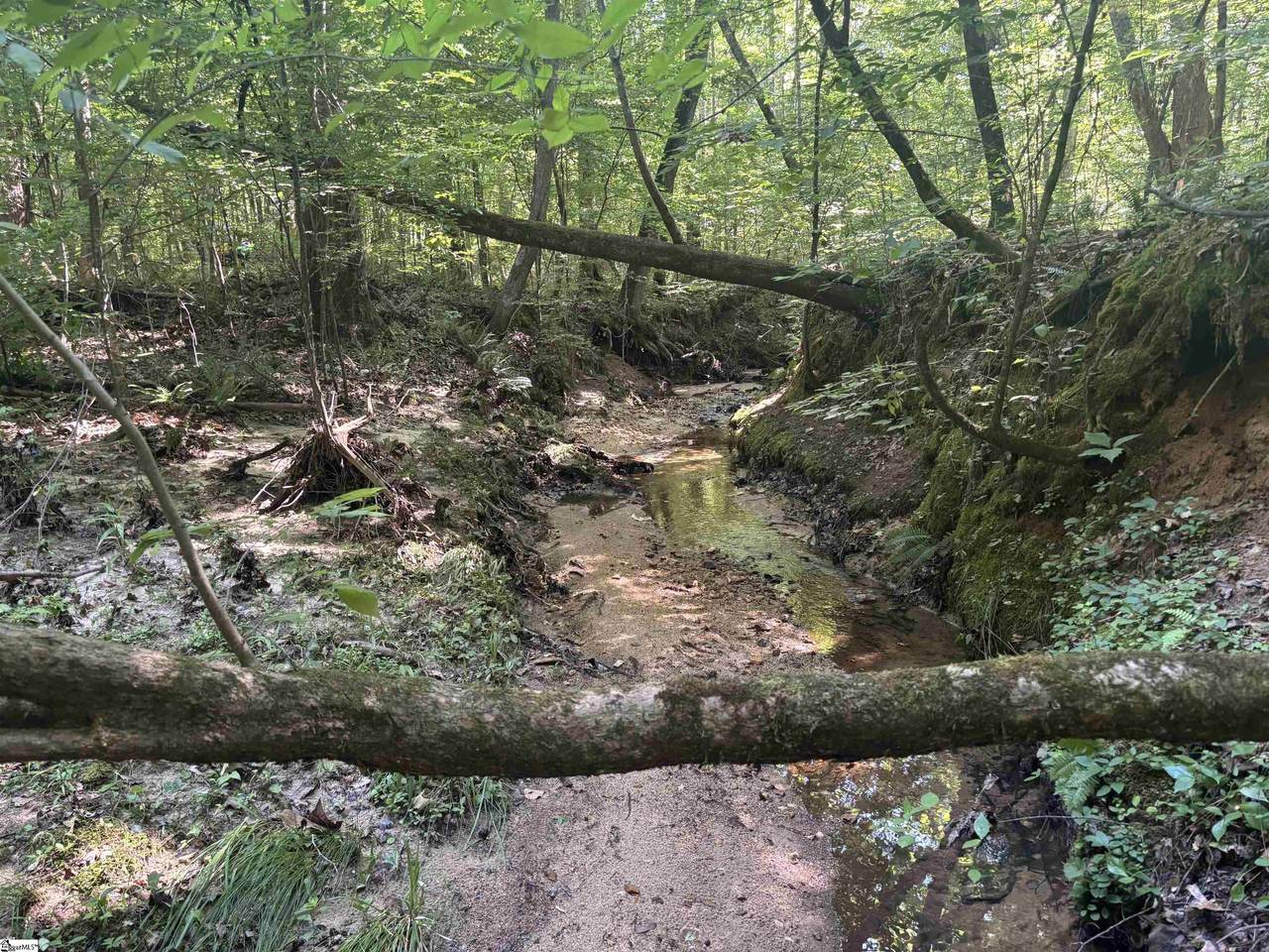  Old Calhoun Falls Road - Photo 1