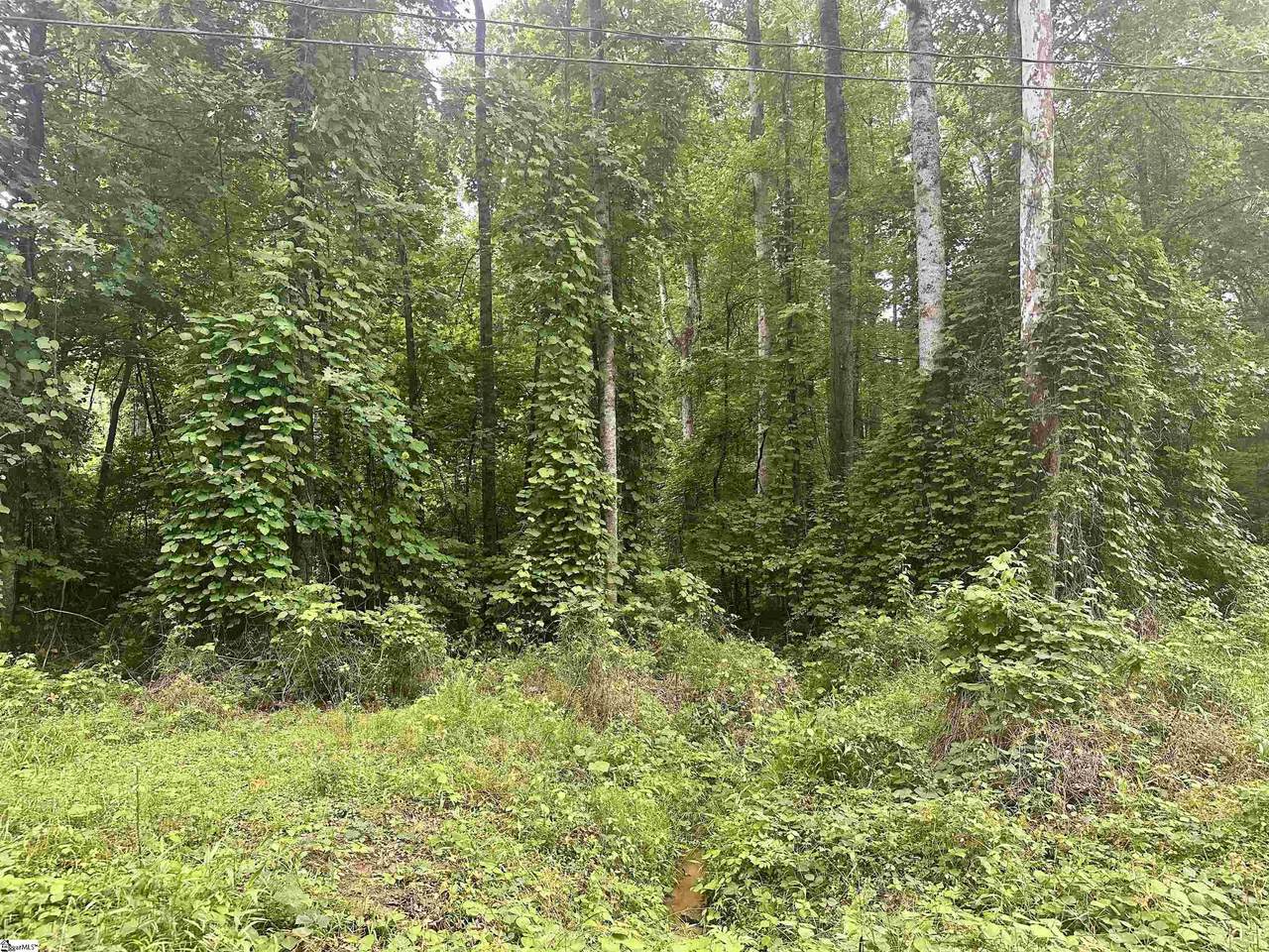 00 Dacusville Road - Photo 1