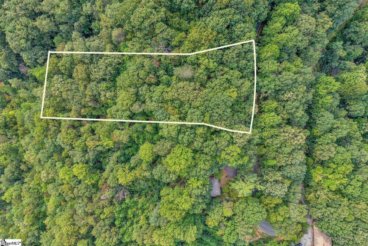 00 Hogback Mountain Road - Photo 1