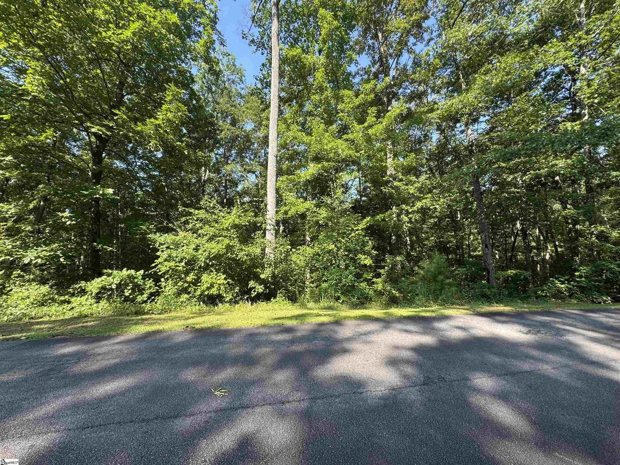 712 Scharlin Drive - Photo 1