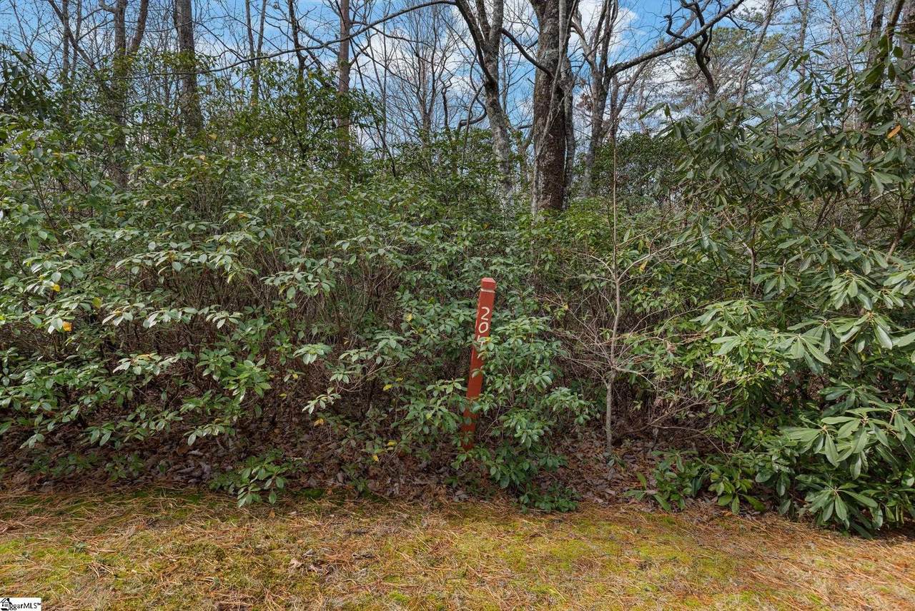 204 Conifer Falls Road - Photo 1