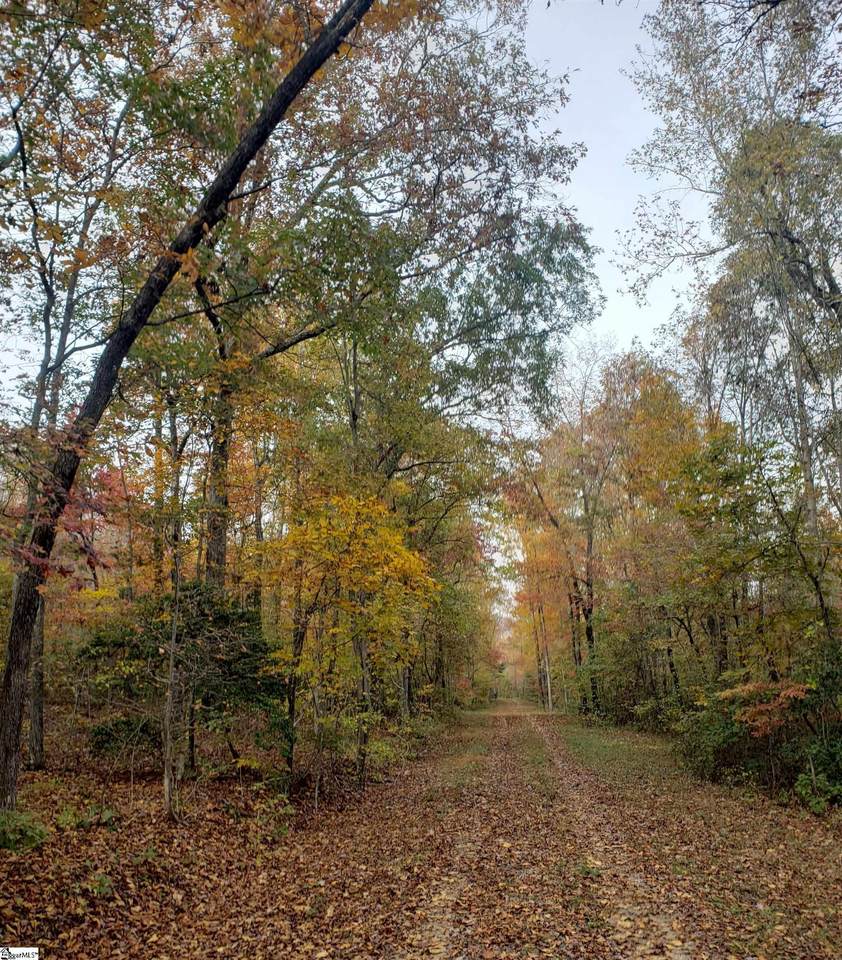 03 Pittman Creek - Photo 1