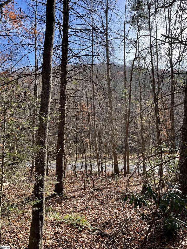 1209 Panther Park Trail - Photo 1