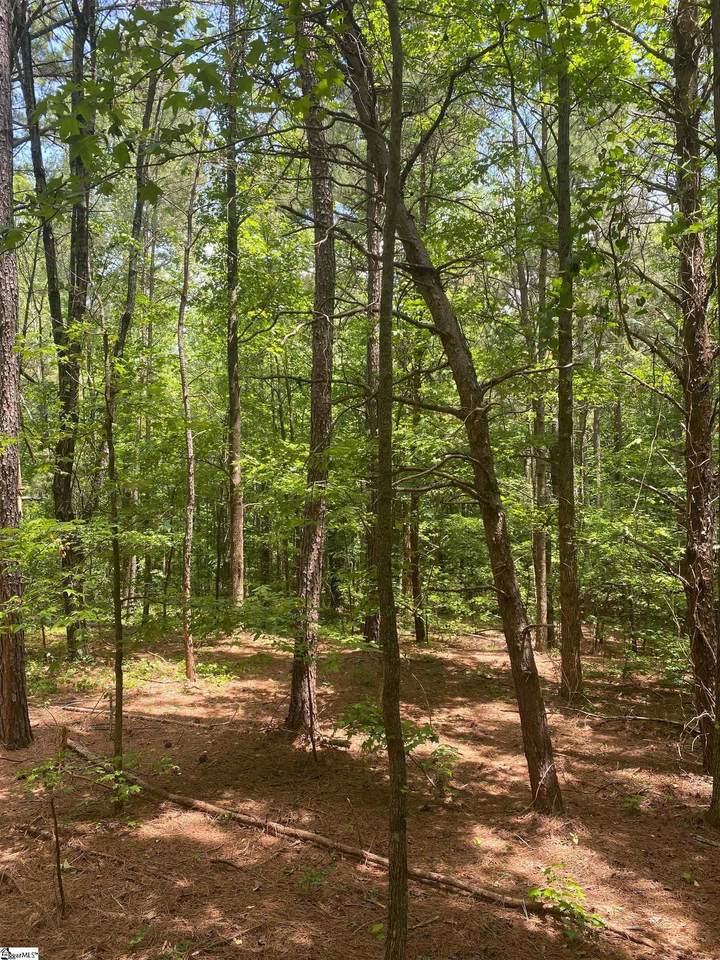 00 Mcabee Road - Photo 1