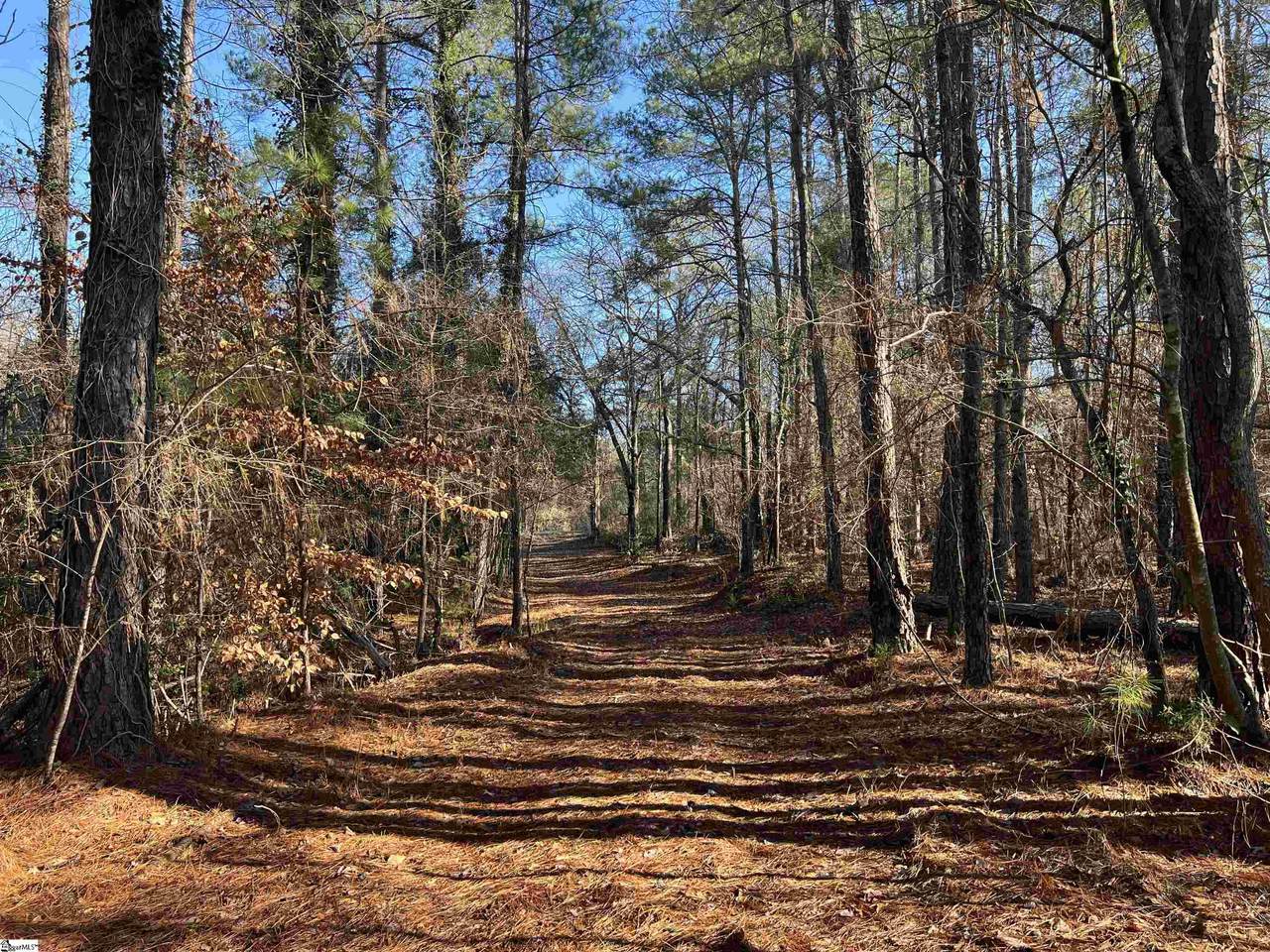903 Dunklin Bridge Road - Photo 1