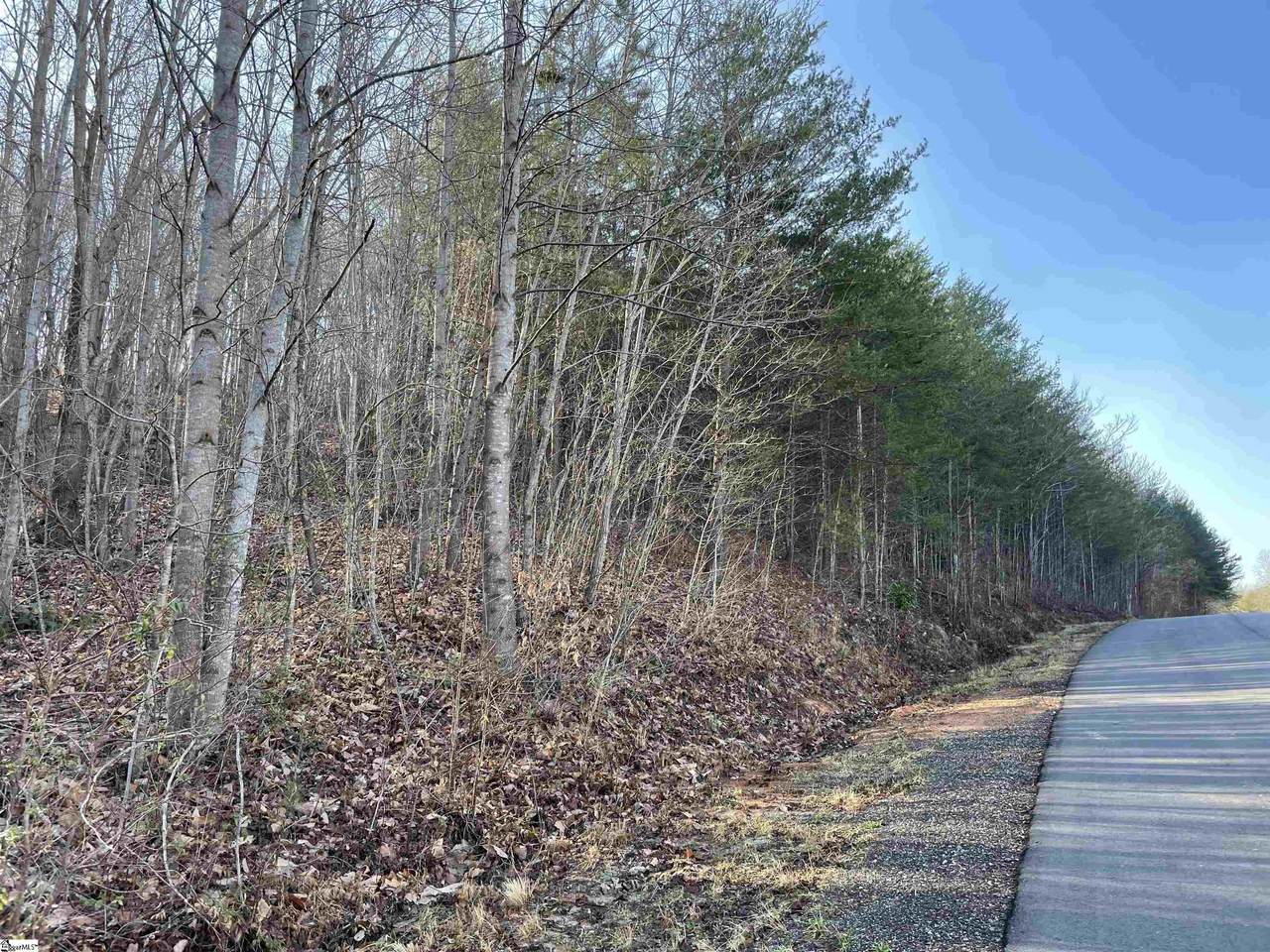 27 Packforest Road - Photo 1