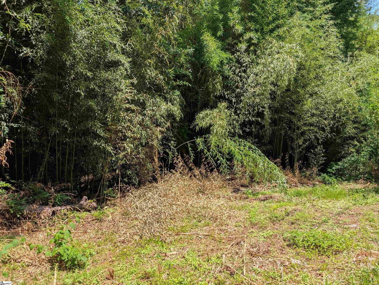 0 Olive Street - Photo 1