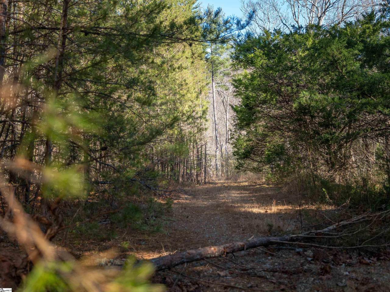 00 Pittman Road - Photo 1