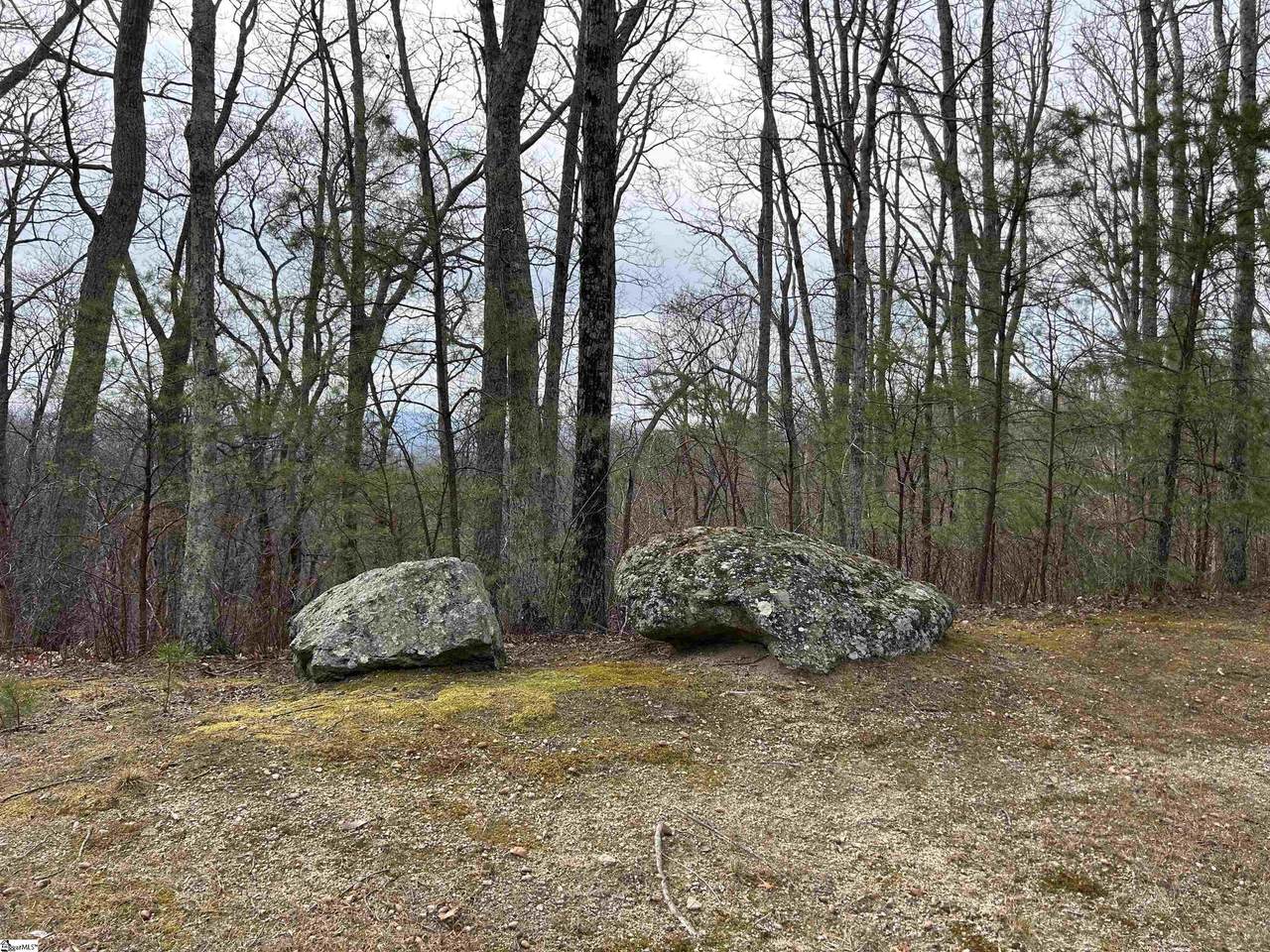 633 Plumley Summit Road - Photo 1