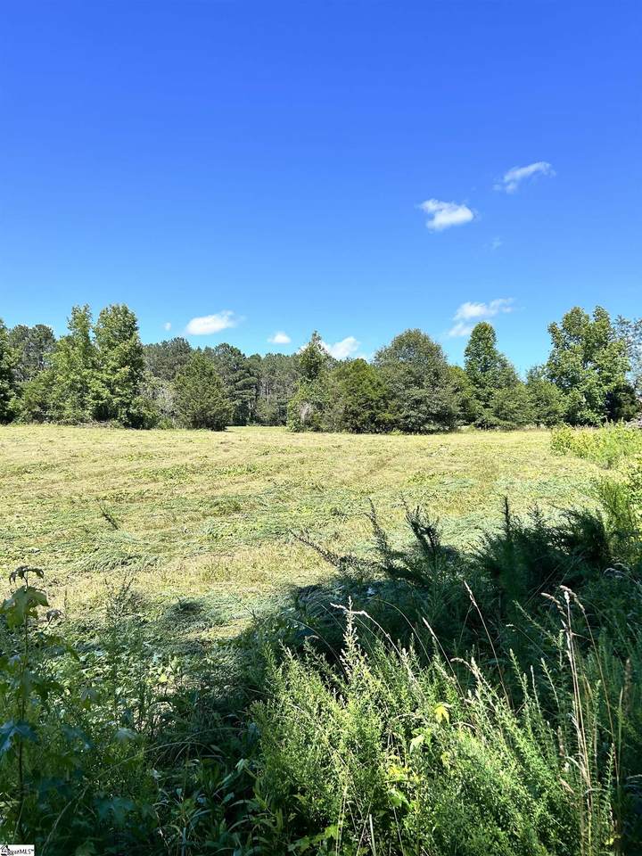 09 Sc - 413 Highway - Photo 1
