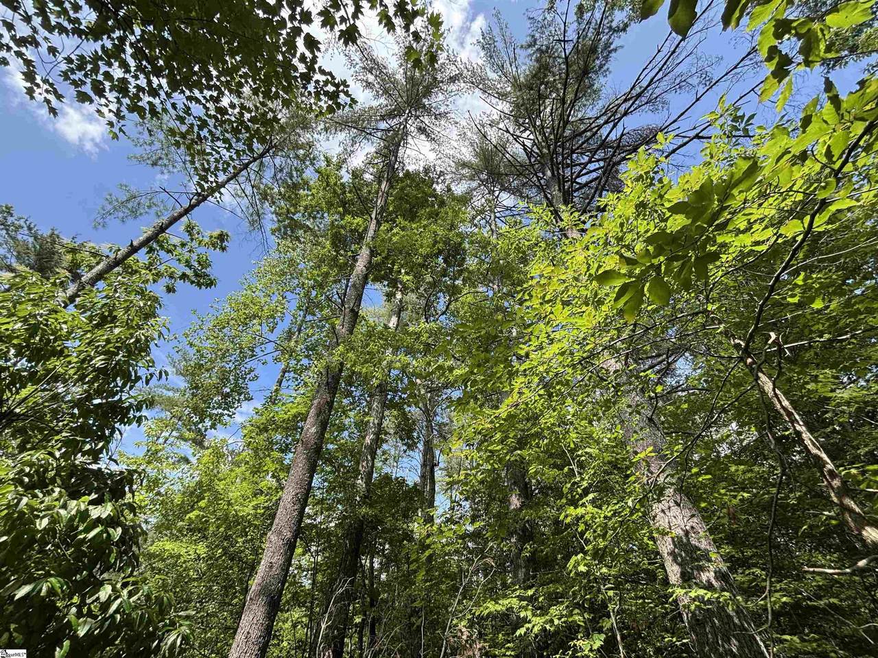https://bt-photos.global.ssl.fastly.net/ggar/1280_boomver_2_1596078-2.jpg