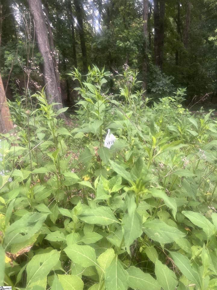 00 Arrowhead Drive - Photo 1