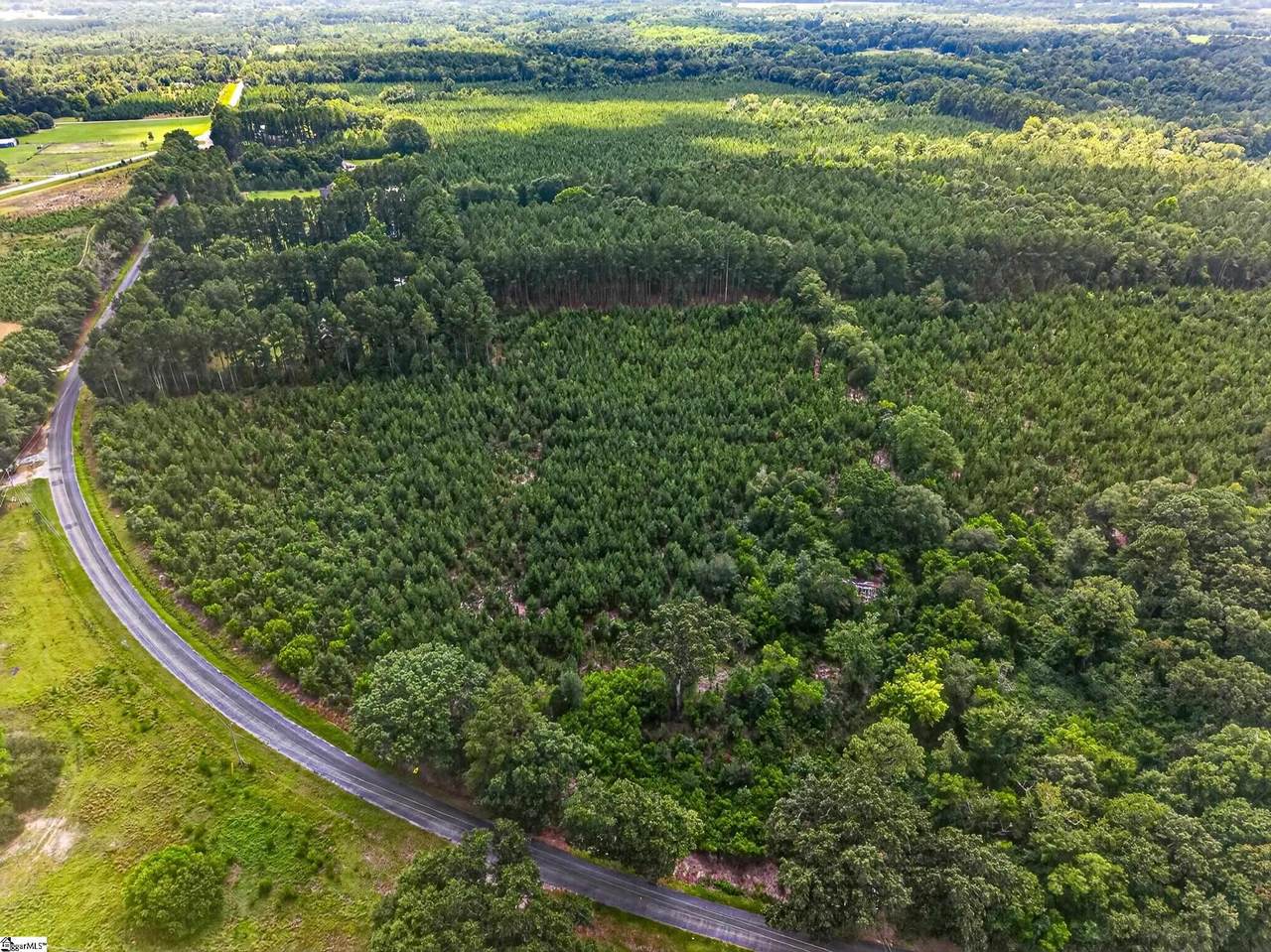  Charlie Rast Road - Photo 1