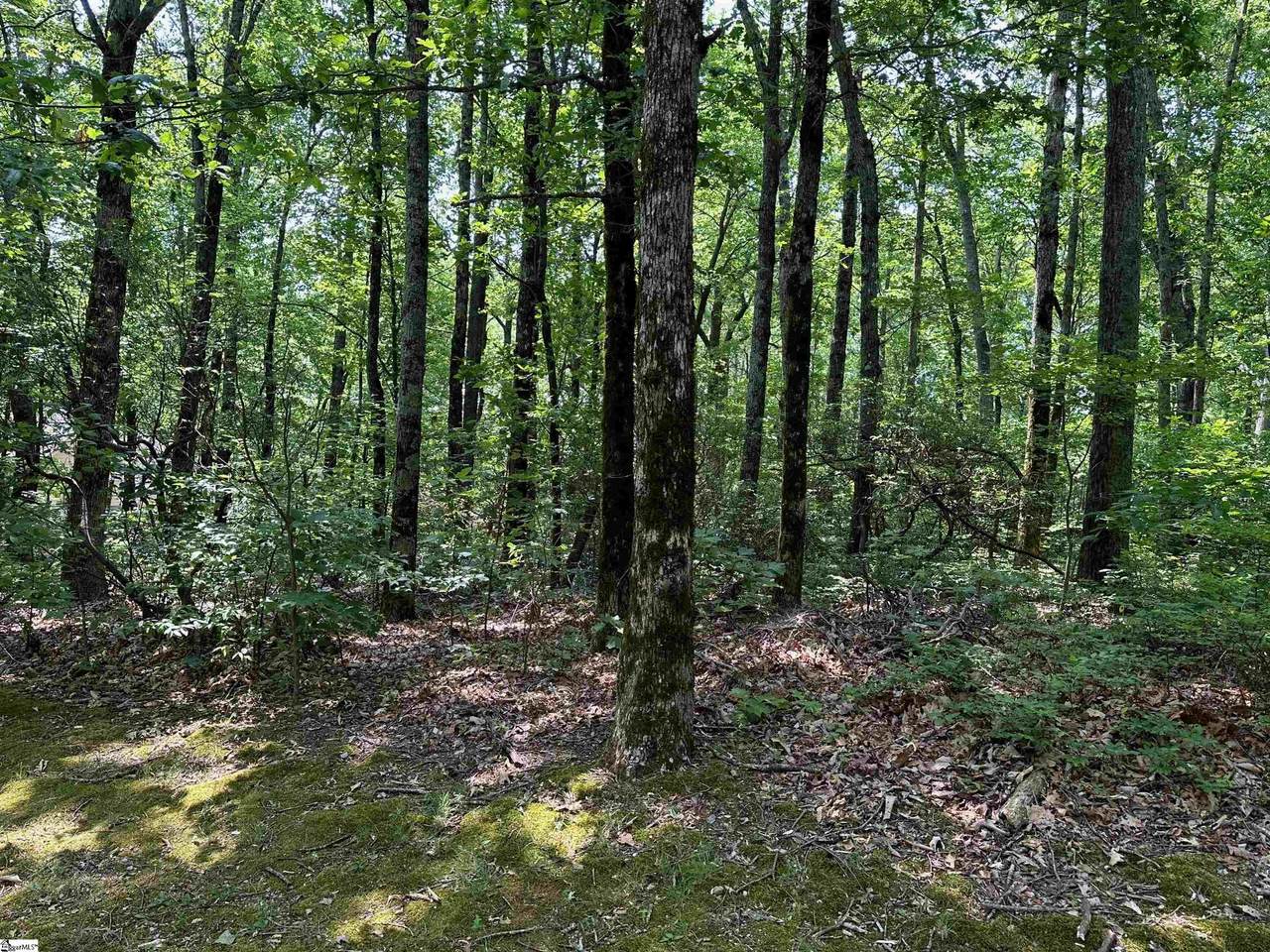 00 Lacey Fern Way - Photo 1