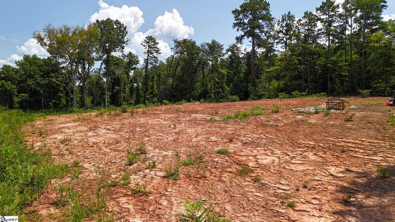 2260 Mount Lebanon Road - Photo 1
