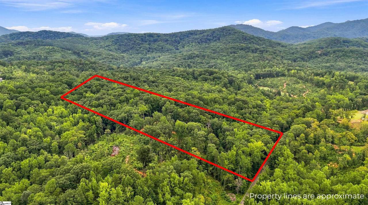 139 Old Sc 11 Highway - Photo 1