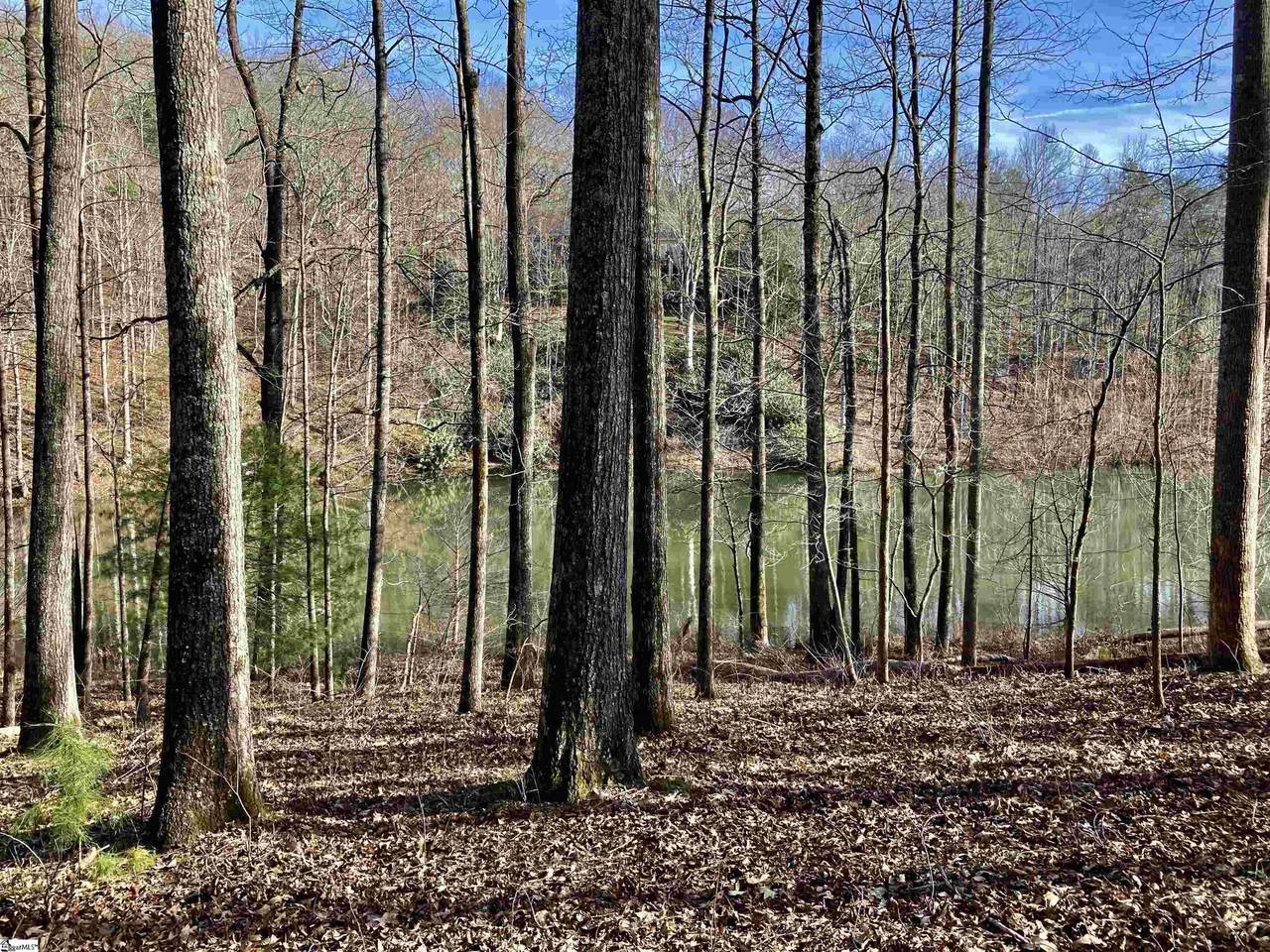 134 Painter Creek Road - Photo 1
