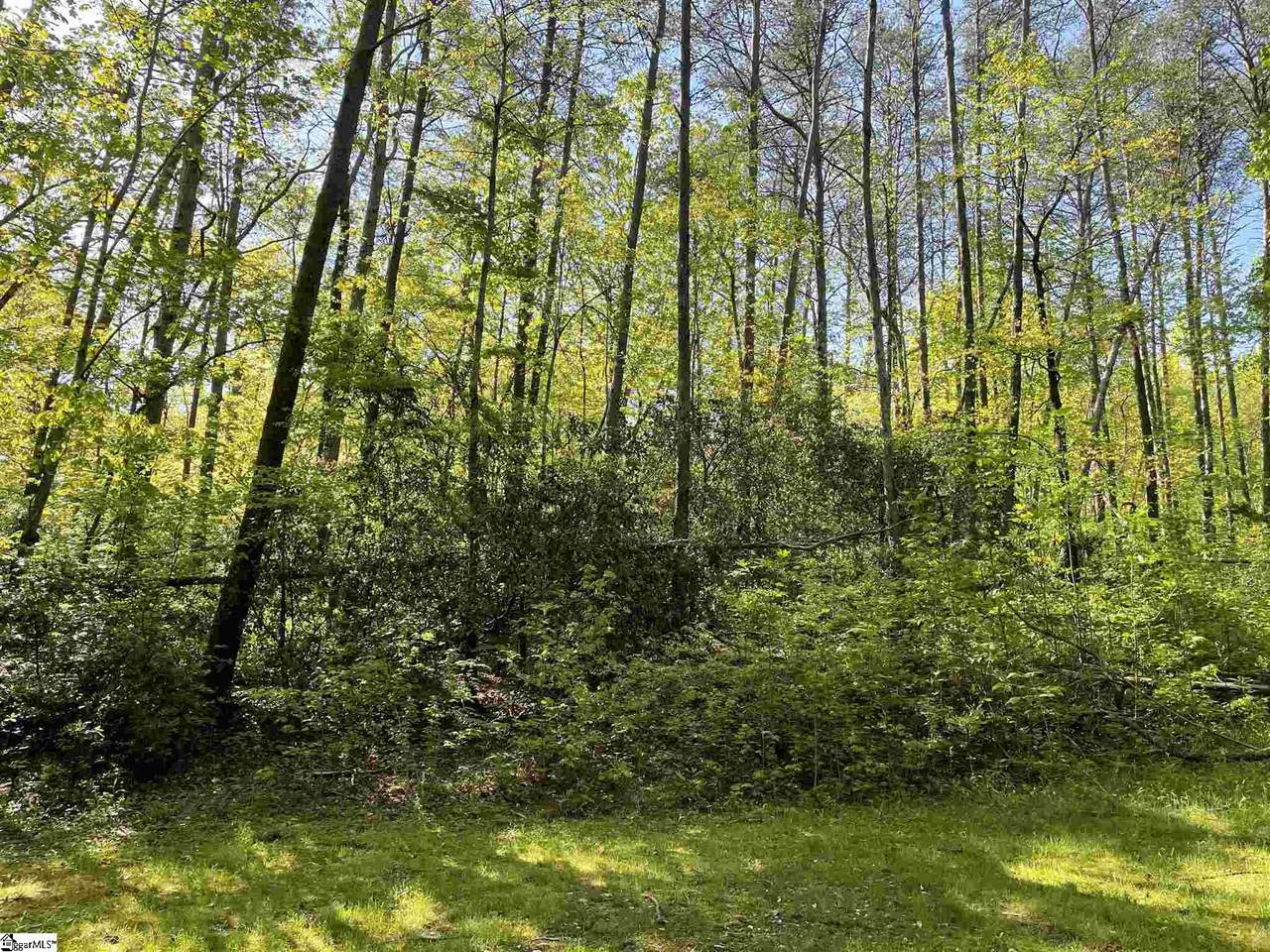 117 Fern Springs Way - Photo 1