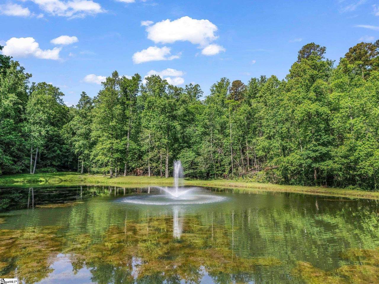 980 Mountain Forest Drive - Photo 1