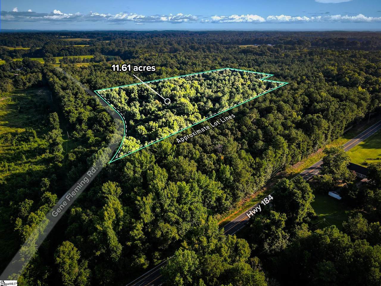 0 Gene Fleming Road - Photo 1