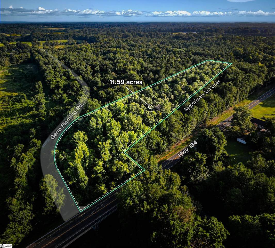 0 Gene Fleming Road - Photo 1