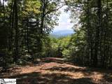 1335 Panther Park Trail - Photo 1