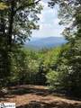 1335 Panther Park Trail - Photo 5