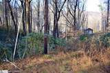 0 Gap Creek Road - Photo 7