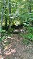 3 Lost Forest Drive - Photo 6