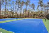 115 Innisbrook Lane - Photo 48
