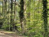  Forest Lane Drive - Photo 3