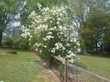 107 Williams Road - Photo 4