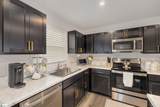 308 Cinerea Way - Photo 11
