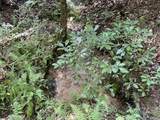 00 Whitewater Point Road - Photo 5