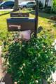 104 Fairview Lake Way - Photo 4