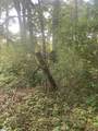 111 Cooper Lake Road - Photo 6