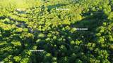 492 Flat Rock Road - Photo 1