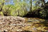 206 Page Creek Boulevard - Photo 49