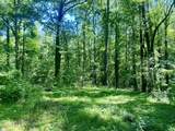 401 Old Jones Road - Photo 6