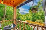 4277 Highway 11 - Photo 5