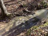 00 Beardon Hollow Road - Photo 3