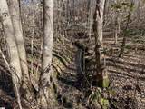 00 Beardon Hollow Road - Photo 4