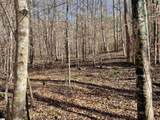 00 Beardon Hollow Road - Photo 6