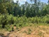 225 Rayven Street - Photo 4
