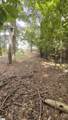162 Stoneridge Drive - Photo 23
